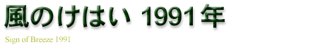 ̂͂1991N