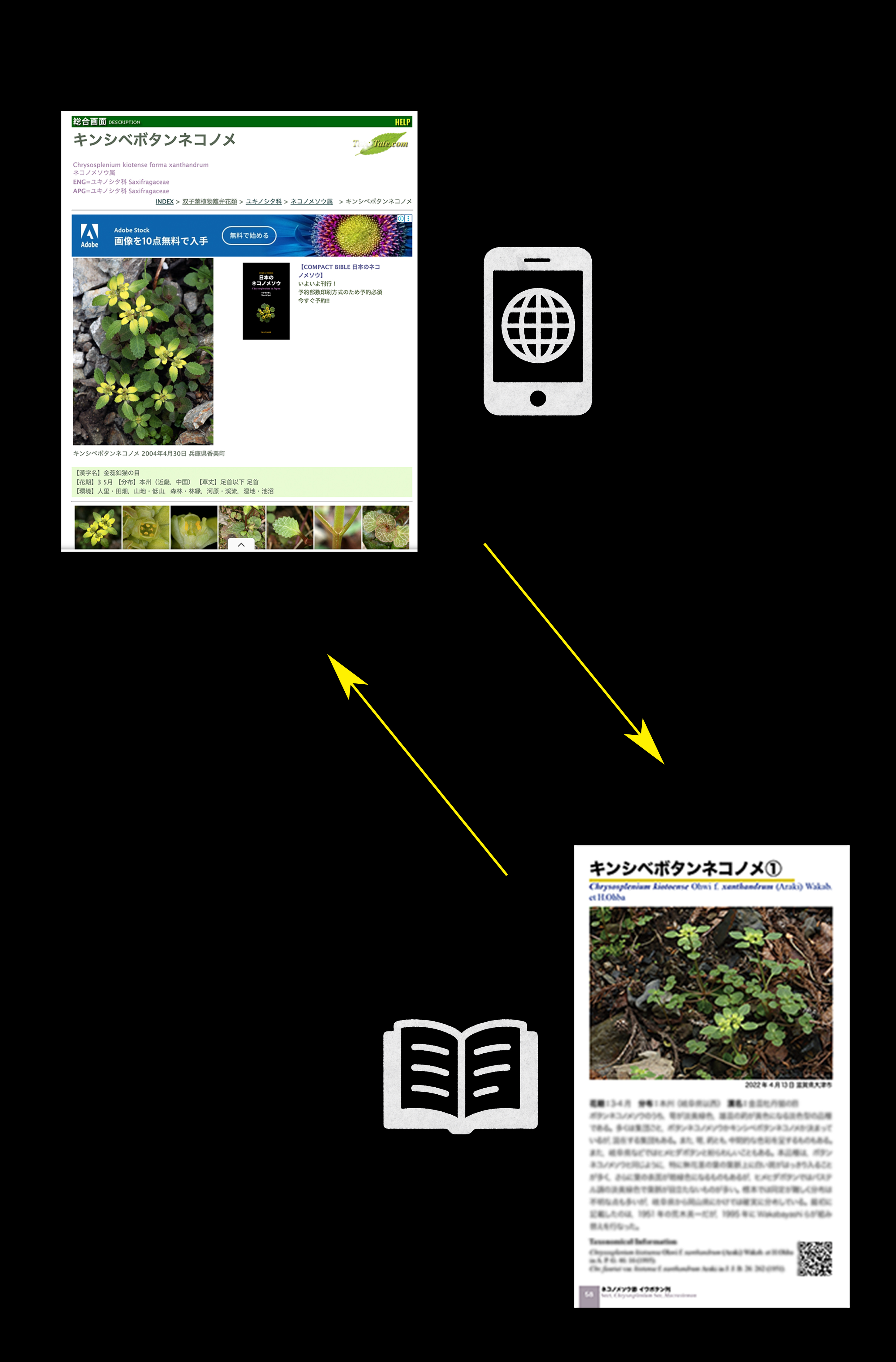 紙とWebが相互補完するリンクインターフェイスのイメージ